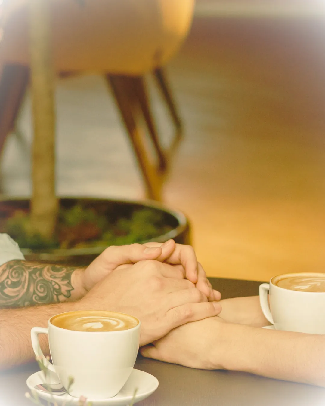 Fertility assessments & testing